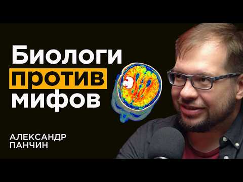 Видео: БИОЛОГ Александр Панчин: Заблуждения о мозге и жизни вцелом