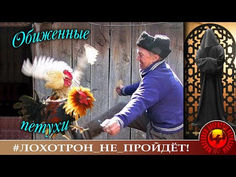 Видео: Обиженные мошенники. (Автор - Станислав).