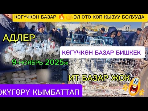 Видео: Ит БАЗАР ЖОК КӨГҮЧКӨН, ТООК БАЗАР ЖЕМ АРПА ЖҮГӨРҮ ЖЕМДИН БААЛАРЫ 9-НОЯБРЬ 2025ж