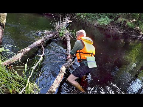 Видео: По рекам Новинка и Тихая. Через Вуоксу в Ладогу