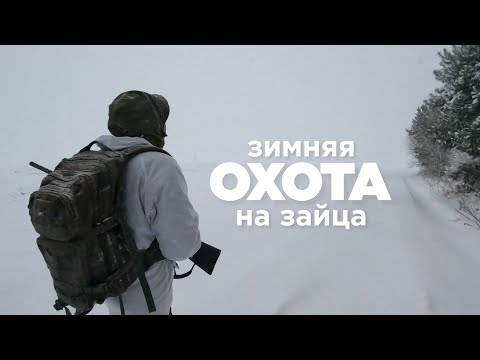 Видео: Охота на зайца. 7 часов за 5 минут