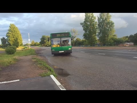 Видео: Автобус №42 (Витебск). Орлово-1 - Смоленский рынок