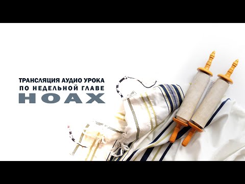 Видео: Урок по недельной главе Ноах