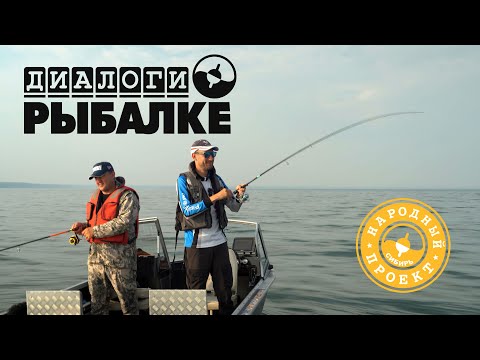 Видео: Ловля окуня на тейлспиннеры и мухи с И. Шараповым на Обском вдхр. Диалоги о рыбалке с А. Васильевым