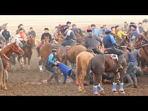 Видео: КӨКПАР 14.12.2024