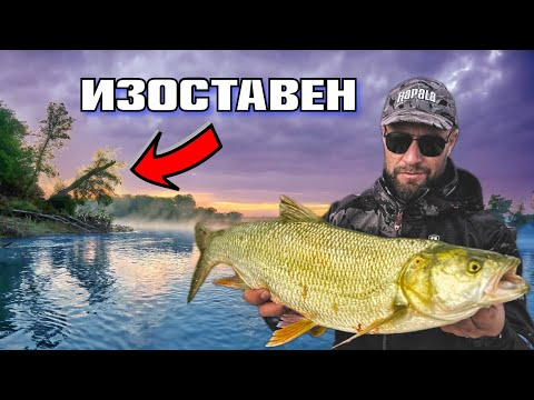 Видео: ИЗОСТАВЕН на ДУНАВСКИ ОСТРОВ !!! Гъмжи от распери …