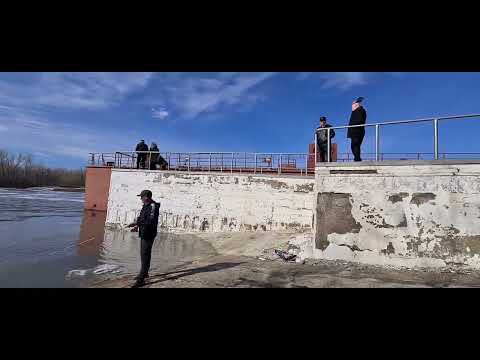 Видео: Уральск.  посёлок "Коминтерн". рыбаки на шлюзах. #уральскаядама