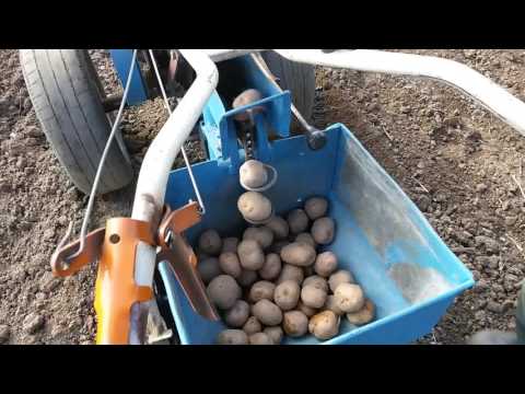 Видео: КАРТОФЕЛЕСАЖАЛКА самодельная (испытания)