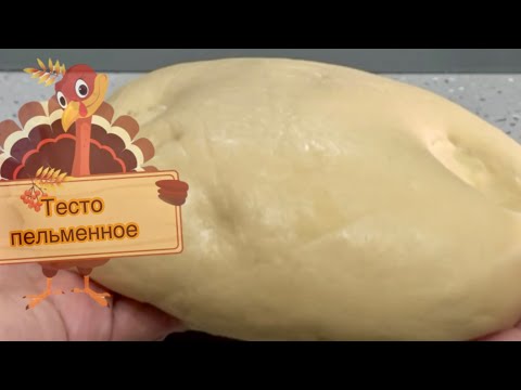 Видео: Вкусное ТЕСТО для пельменей, вареников, чебуреков… в планетарном миксере.