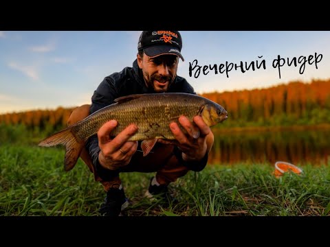 Видео: ВОТ ЭТО ЯЗЬ! / Вечерний фидер на язя / Прикормка, оснастка, приманка / Летняя рыбалка