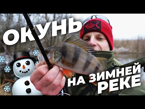 Видео: КАК ловить ОКУНЯ на СПИННИНГ ЗИМОЙ? ПРОВОДКА для ультралайта в сильный ветер!