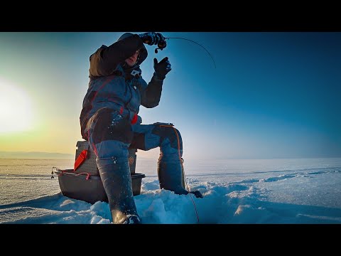 Видео: НАШЕЛ необуренное место и НАЛОВИЛ!!! Рыбалка в глухозимье на балансир. Ловля окуня зимой.