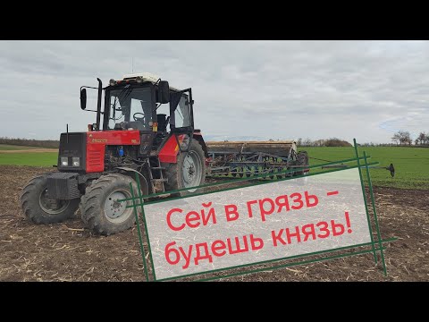 Видео: Посевная озимых 2025!
