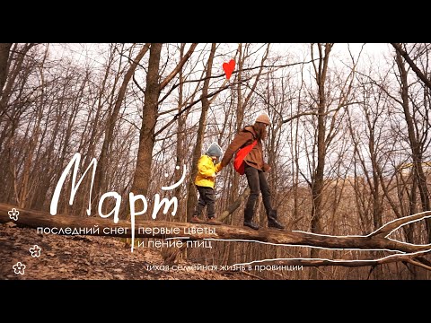 Видео: Провинциальный влог №9 | март