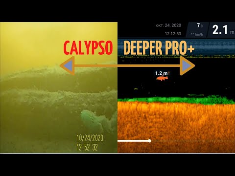 Видео: Как понимать показания эхолота Deeper pro+/ часть1