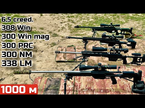 Видео: 1000 м. - 338LM, 300 PRC, 300 NM, 300 win mag, 308 win, 6,5 creedmoor.