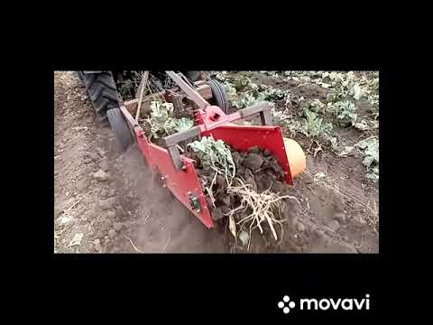 Видео: Копалка корня хрена