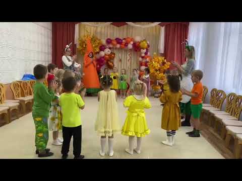 Видео: 7 ноября 2025 г.