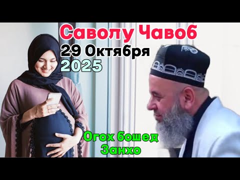 Видео: Хочи Мирзо Саволу Чавоб 29 Октября 2025 огох бошед Занхо