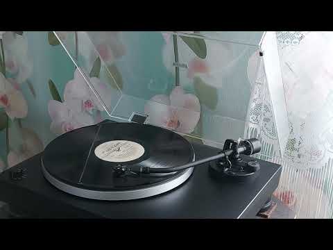 Видео: Винил. Группа "Диалог", 1985