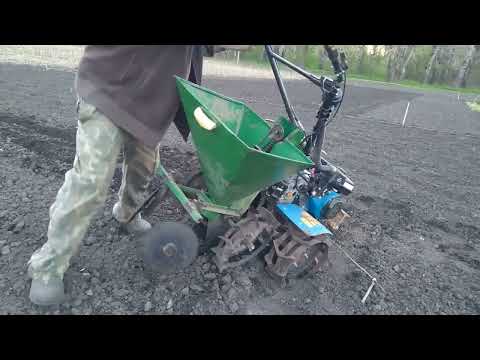 Видео: Посадка картоплі 2023. як раніше і як зараз