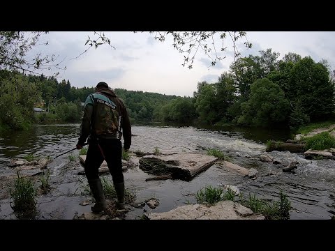 Видео: Рыбалка в Подмосковье. Куда поехать порыбачить в Московской области. Обзор - Дикари и платники 2022