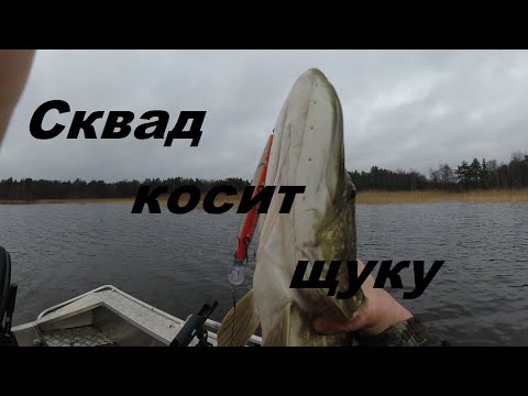 Видео: Обзор воблера Kosadaka Squad XS 128SP