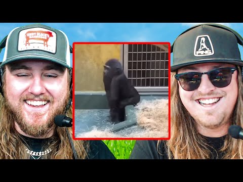 Видео: Оскорбительные мемы заставляют вас смеяться