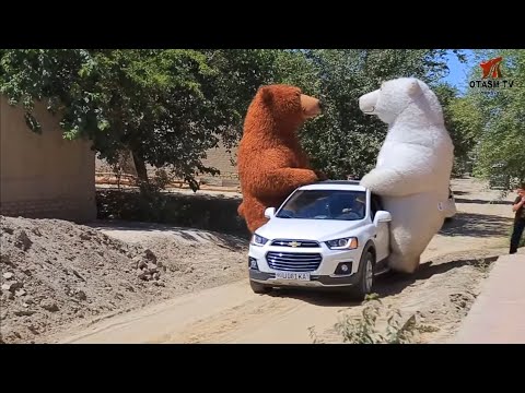 Видео: ЧАКАЛОК МУБОРАК