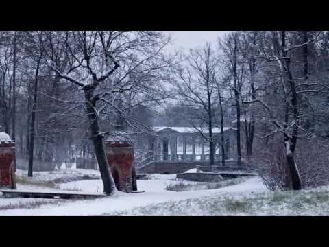 Видео: борис гребенщиков  Kostroma mon amour