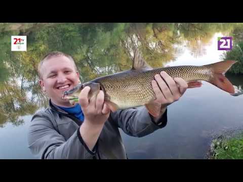 Видео: Карпатське рибалля. Починаємо!