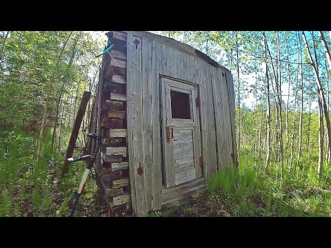 Видео: Ищу вахту лесорубов. Лишь бы не заблудиться! Удивительное поселение в тайге.