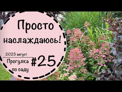 Видео: Прогулка по саду #25☘️Сравним гортензии☘️Сорняк на газоне☘️Стрижка кустарников зонтиком☘️