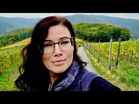 Видео: Почему русскоязычные люди такие злые? Каждый день негатив.. Наш день, гуляем, катаемся на родельбане