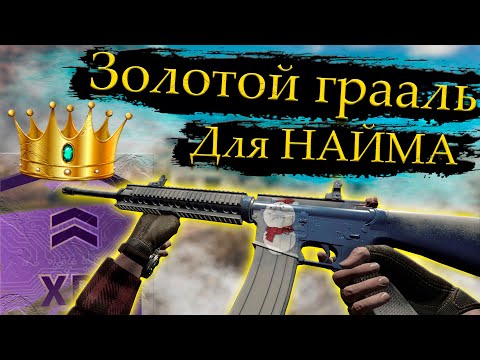 Видео: ОБЗОР М16 Fortune в Will To Live Online в 2025 году!