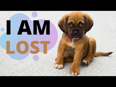 Видео: Пассивный залог в английском языке (Passive Voice)