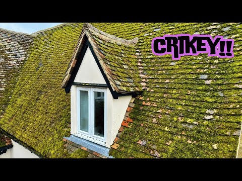 Видео: Вышедший из-под контроля мох уничтожается...прежде чем он поглотит всю крышу!