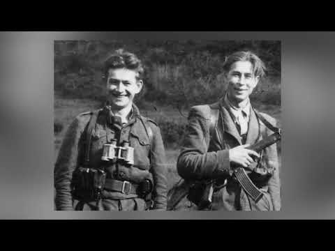 Видео: Пісня УПА | @skovoroda.library