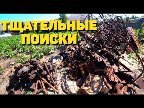 Видео: Легкодоступный металл ещё лежит. Накопал траков, тщательно выбиваю лесной угол