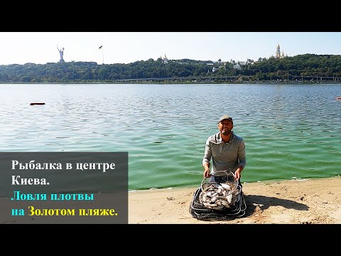Видео: Рыбалка в центре Киева. Ловля плотвы на Золотом пляже.