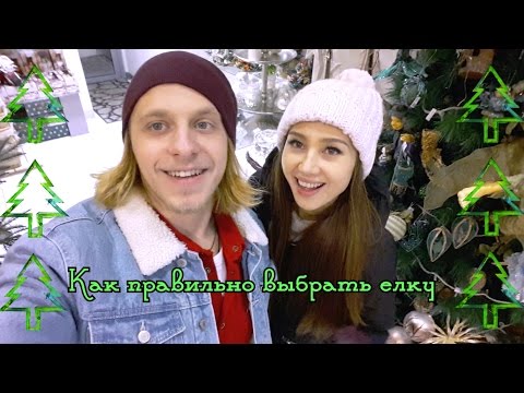 Видео: Как выбрать елку. Руководство Оза - Киев днем и ночью