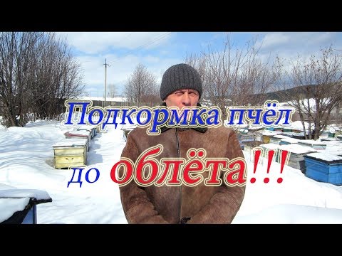 Видео: САМАЯ ПРОСТЕЙШАЯ И ДОСТУПНАЯ ПОДКОРМКА ПЧЁЛ, ДО ОБЛЁТА ПЧЕЛОСЕМЕЙ.КОРМЛЕНИЕ🔥🔥🔥