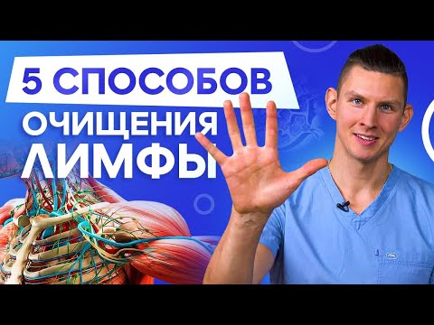 Видео: Лимфа. 5 способов очищения лимфы. Лимфатическая система.