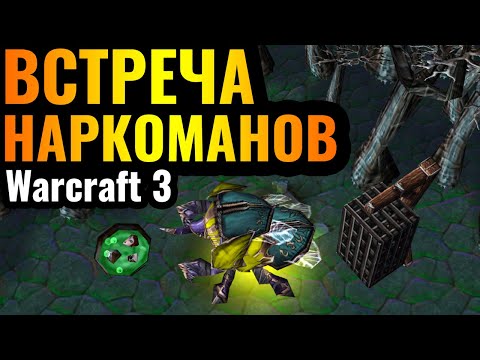 Видео: К ЧЁРТУ ПРАВИЛА: Жук БЕЗ Лича и Рыцаря Смерти, Альянс без Архимага в Warcraft 3 Reforged]