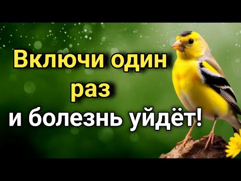 Видео: ☝️Слушай ЭТУ дуа один раз и болезни исчезнут навсегда! 🌹🤲💯
