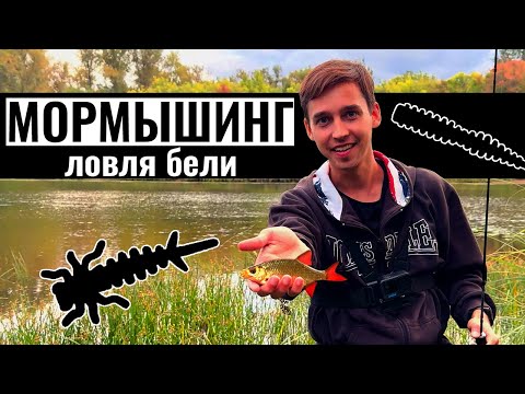 Видео: Ловля бели на мормышинг