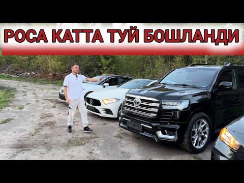 Видео: РОСА КАТТА ТУЙ БОШЛАНДИ ХОЗИР ХАММА КУРСИН ЭРТАГА УЙГА КАЙТИШ КЕРАК