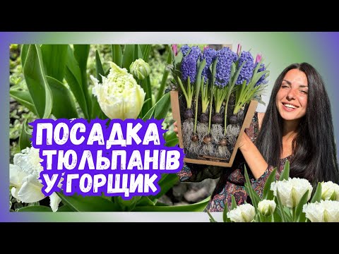 Видео: Багатошарова посадка методом «лазанья»: тюльпани, крокуси та ще більше квітів!