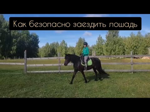 Видео: Как безопасно заездить лошадь