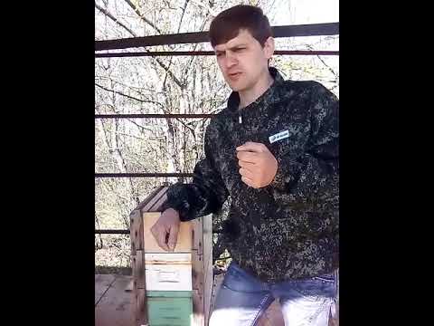 Видео: Забыть про роение! Преимущество√4.